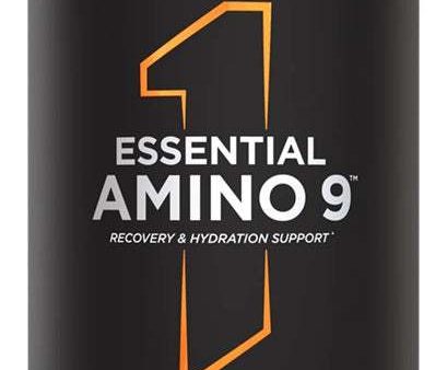 Rule One Essential Amino 9, Fruit Punch - 330 grams Supply