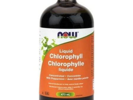 Now - liquid chlorophyll peppermint 473 ml Cheap