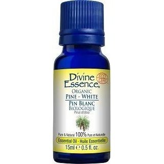 Divine Essence - Pine – White Fashion