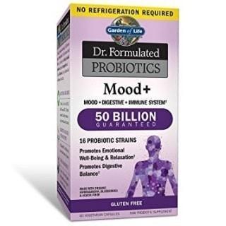 Garden of life - dr. formulated probiotics mood+ (stable) - 60 vcaps For Discount