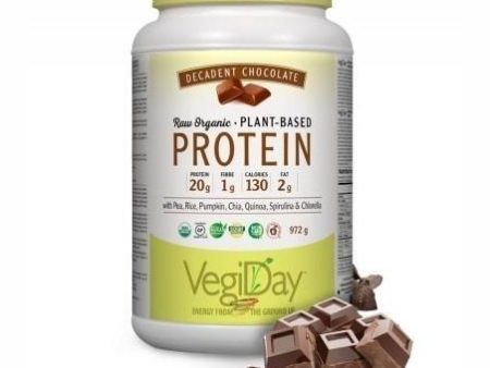 Vegiday - raw organic plant-based protein : decadent chocolate - 1.11 kg Online Hot Sale