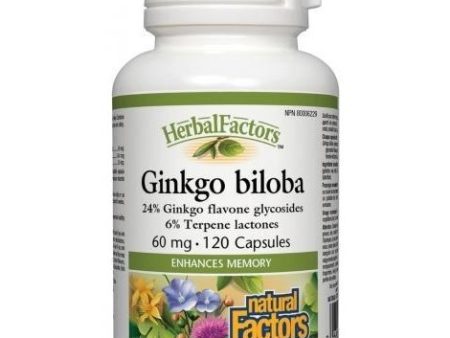 Natural factors - ginkgo biloba 60mg - 120 caps For Discount