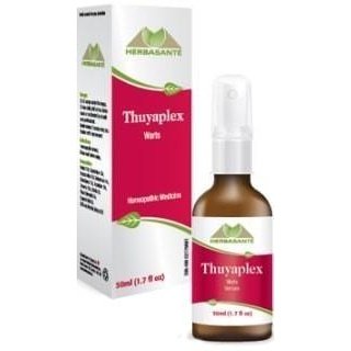 Thuyaplex Online now